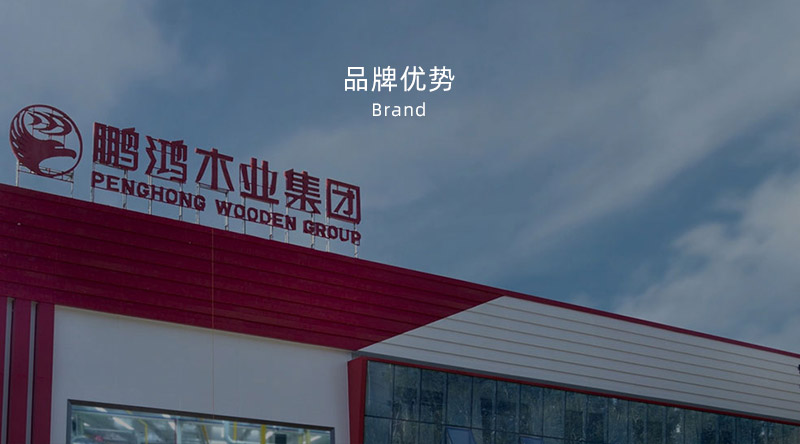 板材品牌、、、全屋定制品牌、、、生态板十大品牌