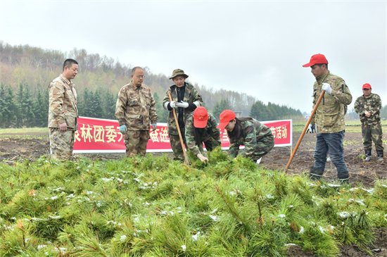 2.实践假植手艺.jpg