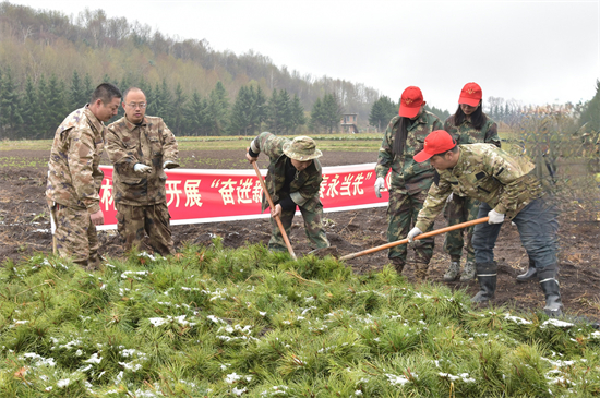 3.实践假植手艺2.jpg