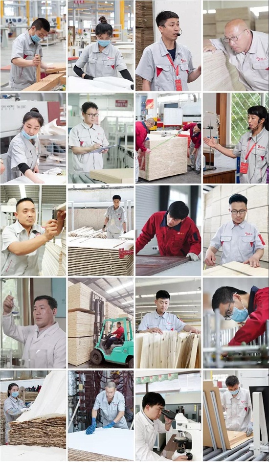 老子有钱lzyq88官网板材