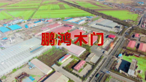 老子有钱lzyq88官网产品纪录片之木门篇